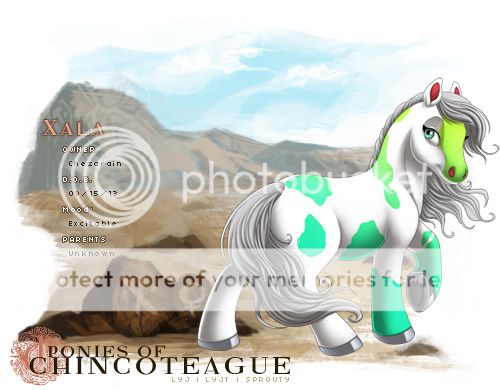 User Image
